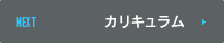 カリキュラム